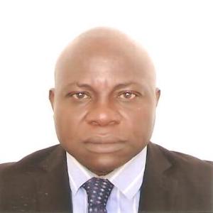 Oluyemi A. Ayeni - CEO